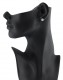 On the ear photo