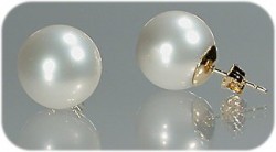 Amara Pearl Earrings