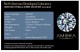 Independent Color Grading report that ships with Amora Moissanite