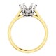Yellow Gold with White Gold prongs (TwoTone)