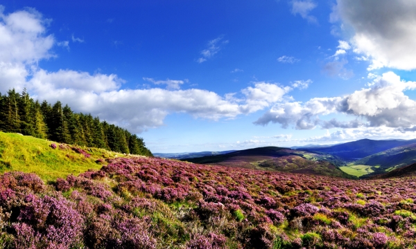 County Wicklow