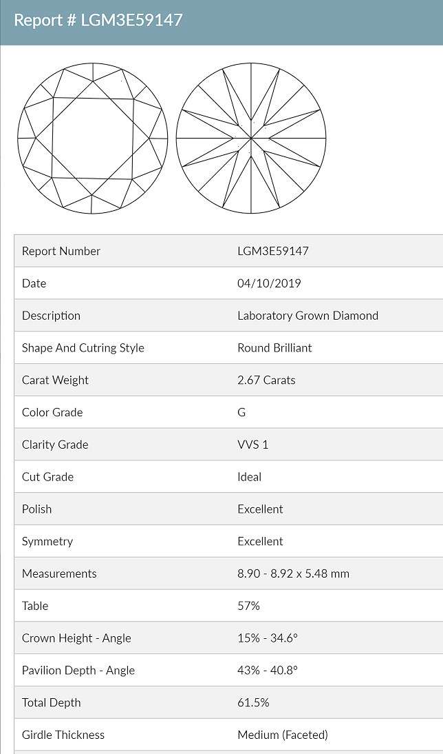 igi-details-report.jpg